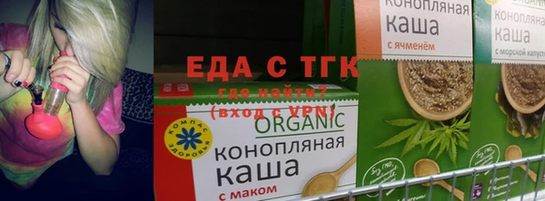 гашик Ельня