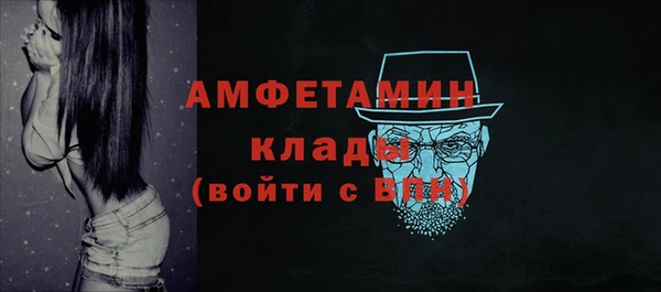 гашик Ельня