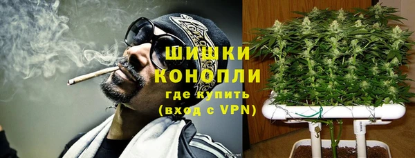 Альфа ПВП Нея