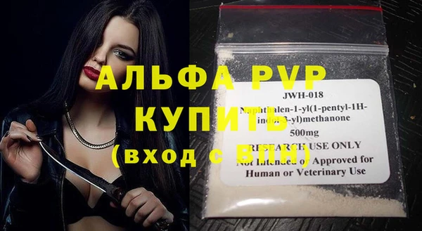 стаф Абаза