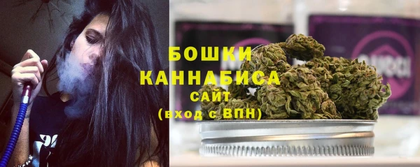 Альфа ПВП Нея