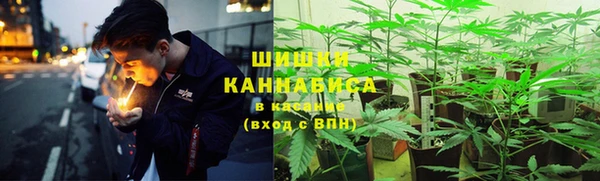 таблы Дмитриев